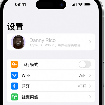 宜城appleID维修服务iPhone设置中Apple ID显示为灰色无法使用 