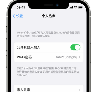 宜城apple服务站点分享iPhone上个人热点丢失了怎么办 