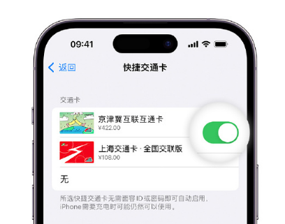 宜城apple维修点分享iPhone上更换Apple Pay快捷交通卡手绘卡面 