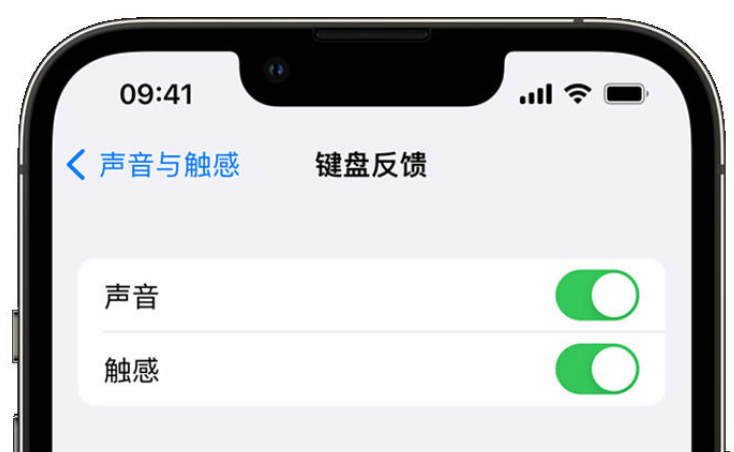 宜城苹果手机维修分享iPhone 14触感键盘使用方法 