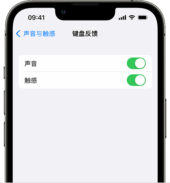 宜城苹果14维修店分享如何在 iPhone 14 机型中使用触感键盘 