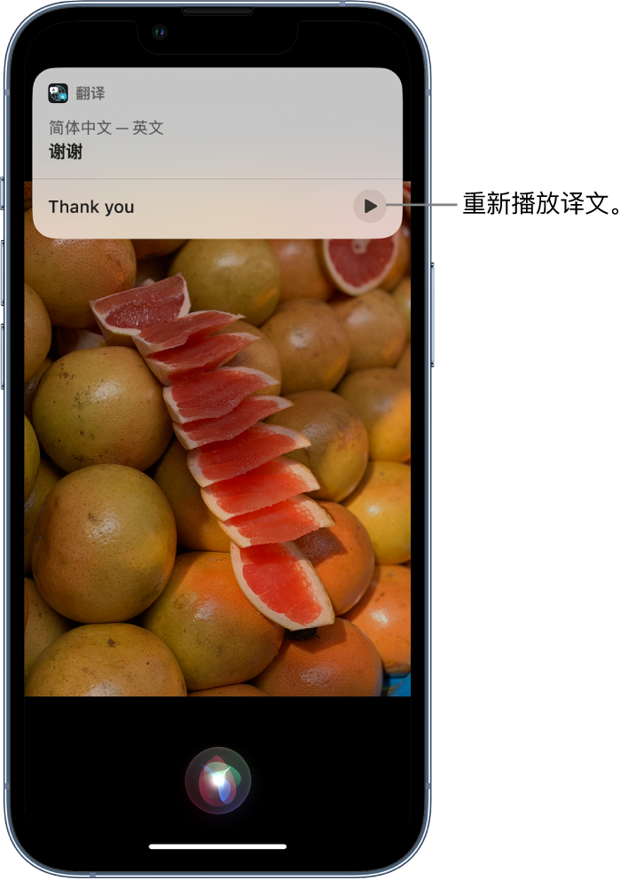 宜城苹果14维修分享 iPhone 14 机型中使用 Siri：了解 Siri 能帮你做什么 