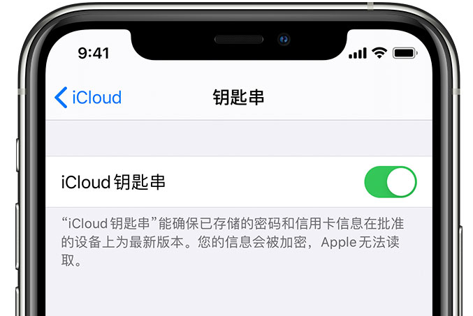 宜城苹果手机维修分享在 iPhone 上开启 iCloud 钥匙串之后会储存哪些信息 