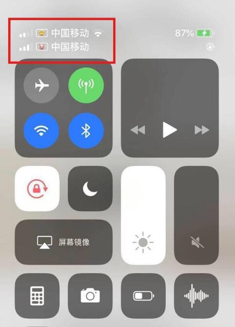 宜城苹果手机维修分享为 iPhone 12 双卡设置标签 